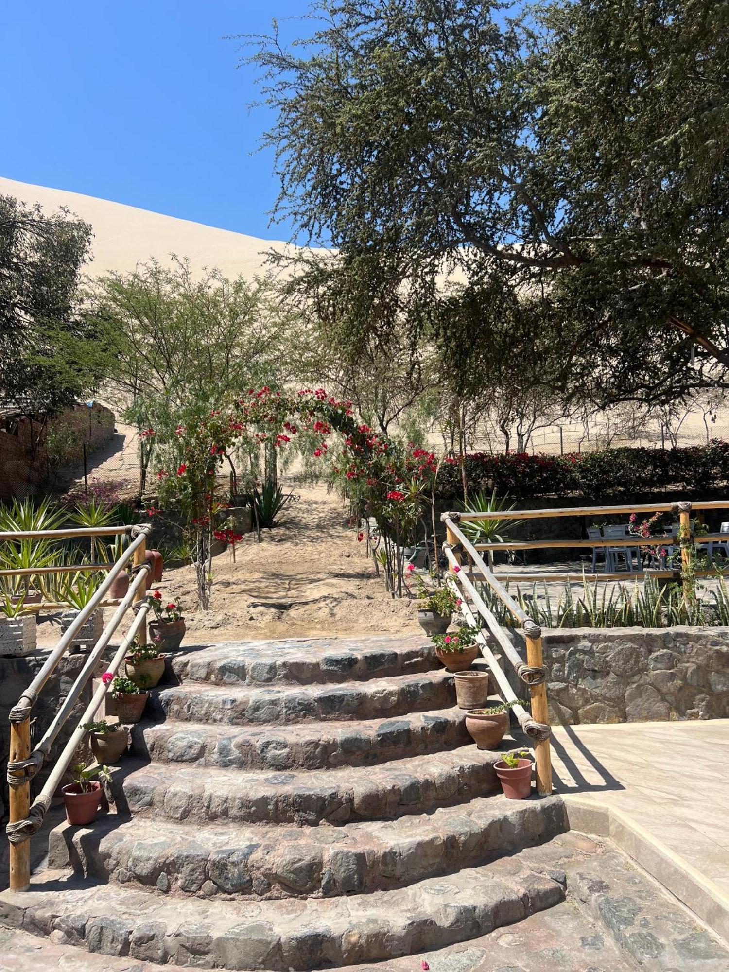Hotel El Huacachinero Ίκα Εξωτερικό φωτογραφία
